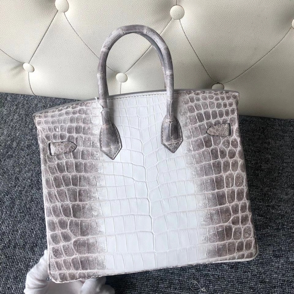 Hermès（爱马仕）Birkin 25cm Himalaya 喜马拉雅  银扣 顶级手缝 完美品相