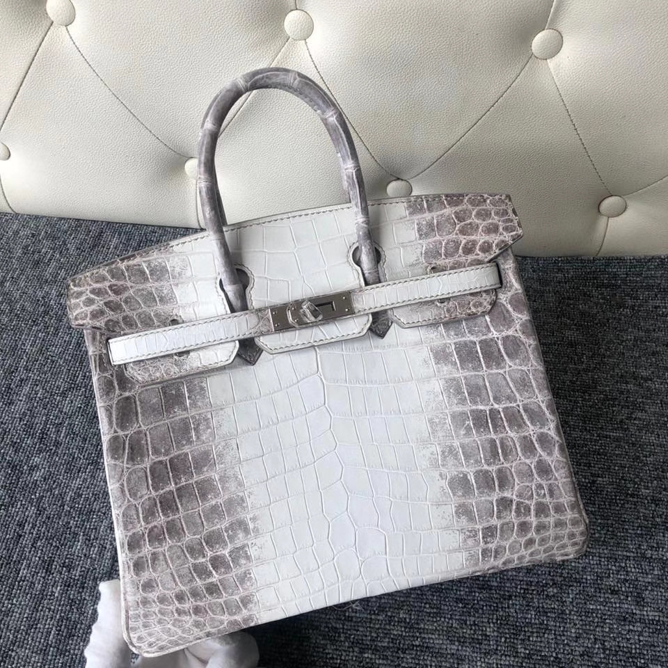 Hermès（爱马仕）Birkin 25cm Himalaya 喜马拉雅  银扣 顶级手缝 完美品相