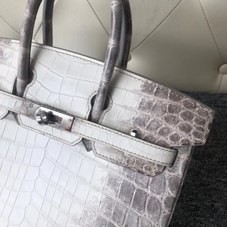 Hermès（爱马仕）Birkin 25cm Himalaya 喜马拉雅  银扣 顶级手缝 完美品相