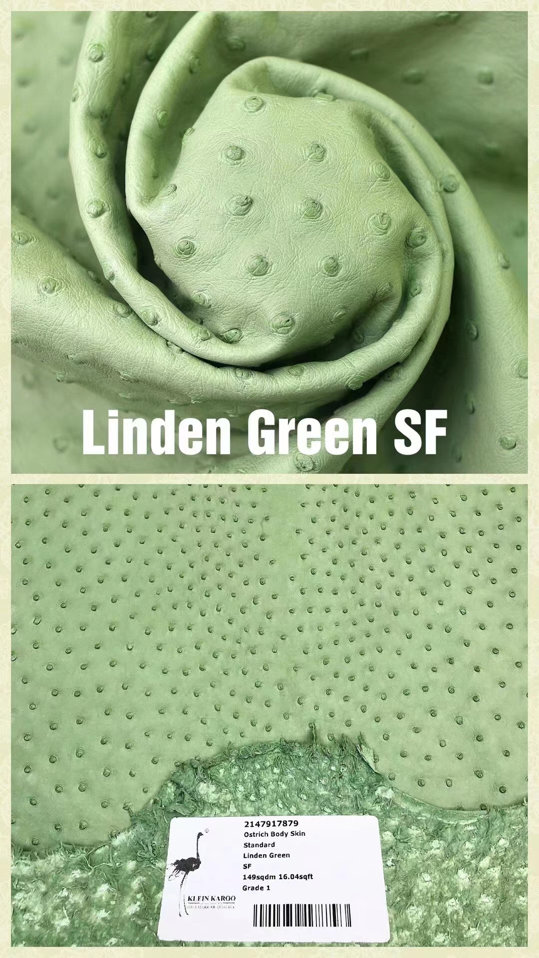 Hermès（爱马仕）南非KK鸵鸟皮 最新颜色 H家御用顶级皮 Linden Green 牛油果绿
