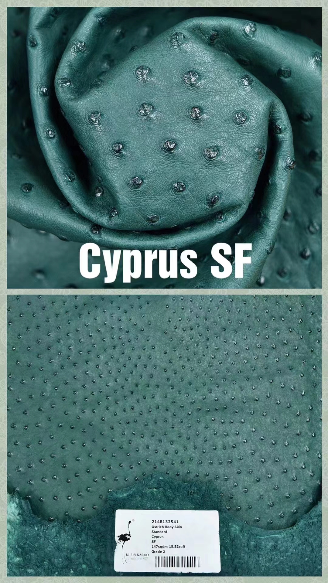 Hermès（爱马仕）南非KK鸵鸟皮 最新颜色 H家御用顶级皮 Cyprus 森林绿