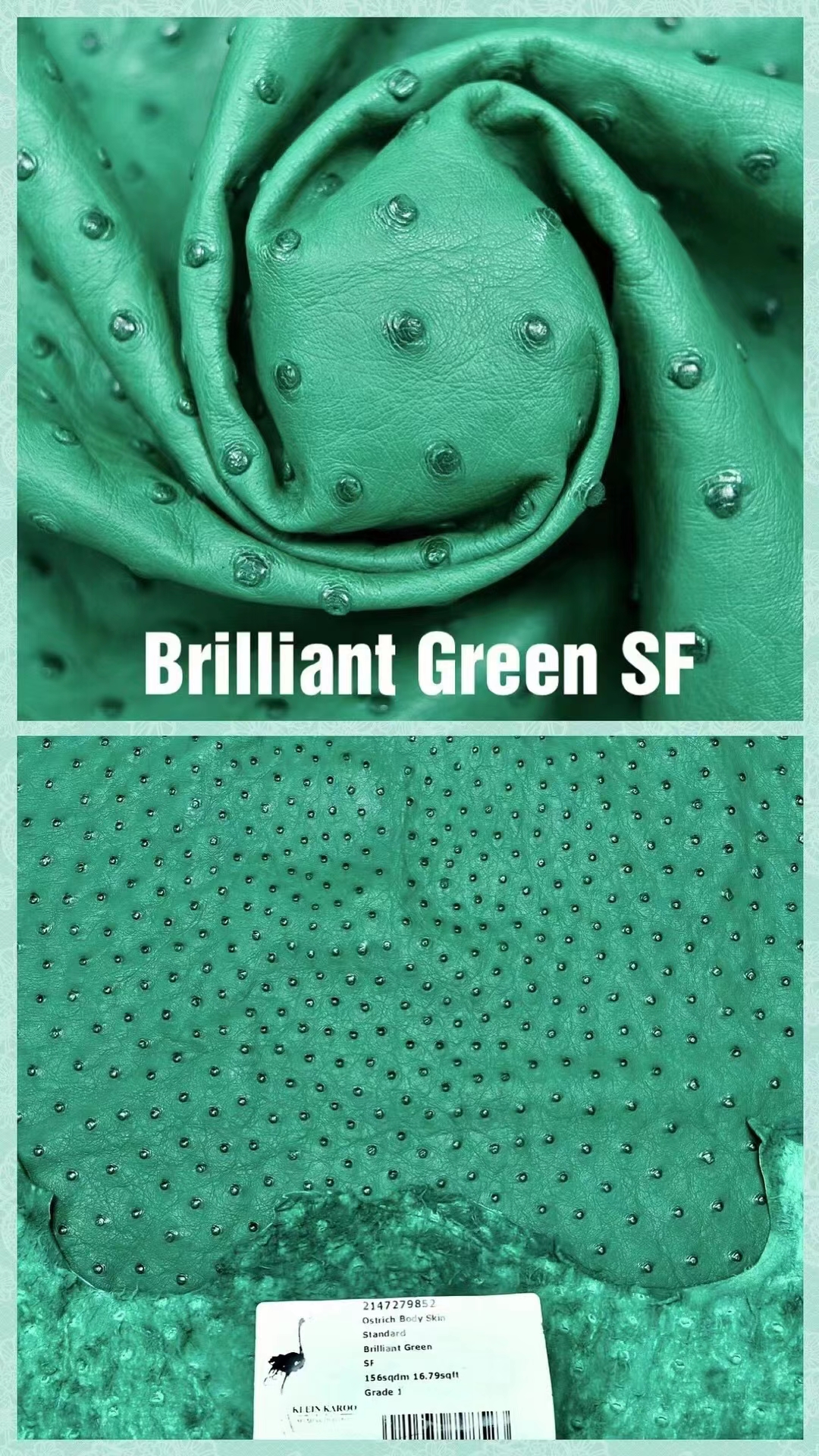 Hermès（爱马仕）南非KK鸵鸟皮 最新颜色 H家御用顶级皮 Brilliant Green 亮绿
