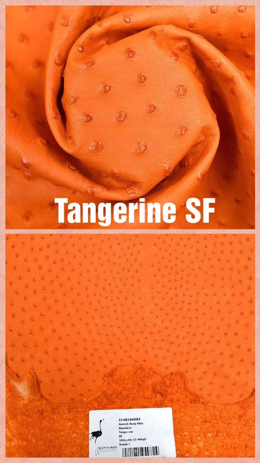 Hermès（爱马仕）南非KK鸵鸟皮 最新颜色 H家御用顶级皮 Tangerine 橘子橙