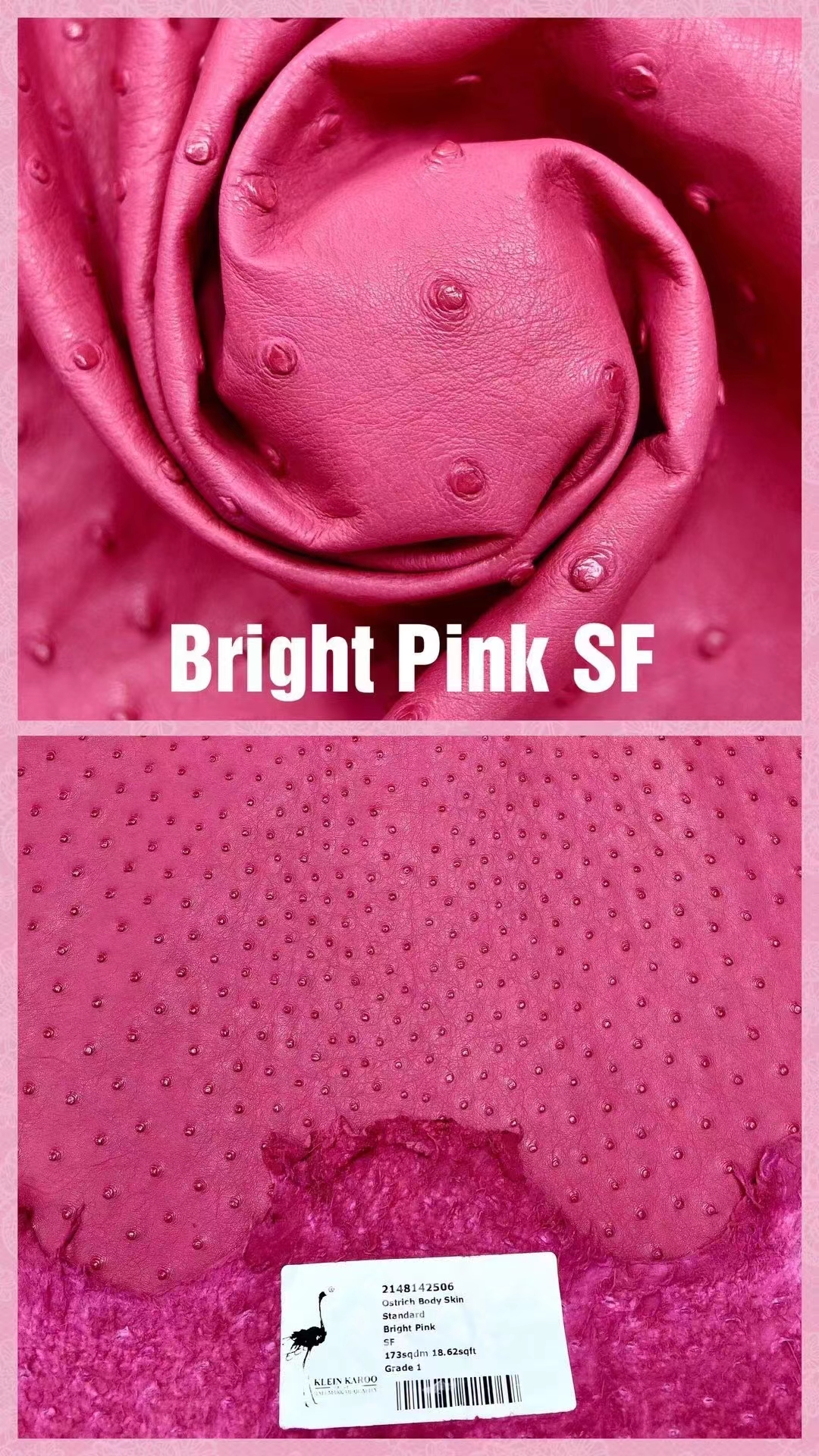 Hermès(爱马仕)南非KK鸵鸟皮 最新颜色 H家御用顶级皮 Bright Pink 玫红色-拉尔森鳄鱼皮具定制 - 爱马仕包包官网 Hermès(爱马仕)南非KK鸵鸟皮 最新颜色 H家御用顶级皮 Bright Pink 玫红色