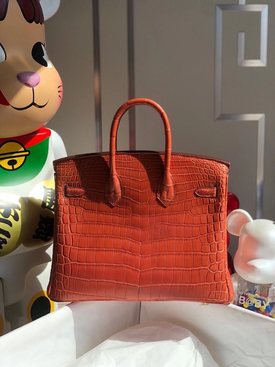 Hermès（爱马仕）Birkin 25cm Crocodile  matt 雾面鳄鱼 M9 三文鱼红 金扣 顶级手缝  品相完美 现货