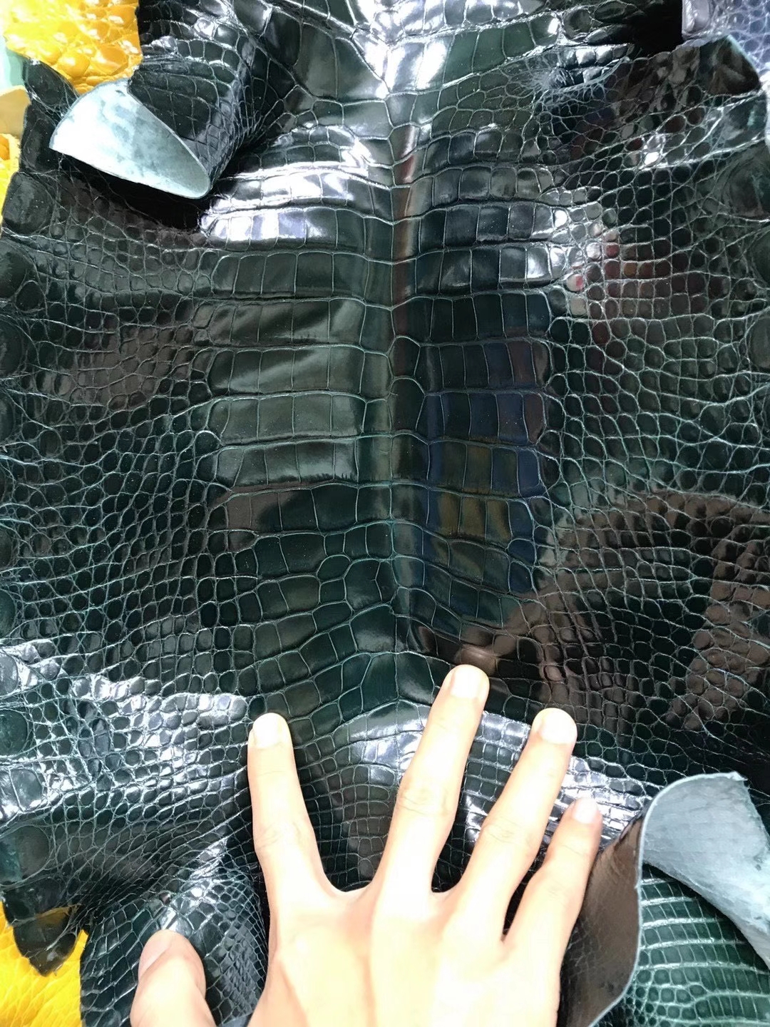 进口美洲鳄亮面 墨绿-拉尔森鳄鱼皮具定制 - 爱马仕包包官网 进口美洲鳄亮面 墨绿