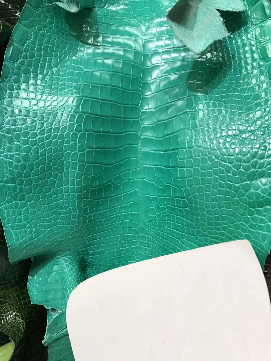 进口美洲鳄亮面 湖水绿-拉尔森鳄鱼皮具定制 - 爱马仕包包官网 进口美洲鳄亮面 湖水绿