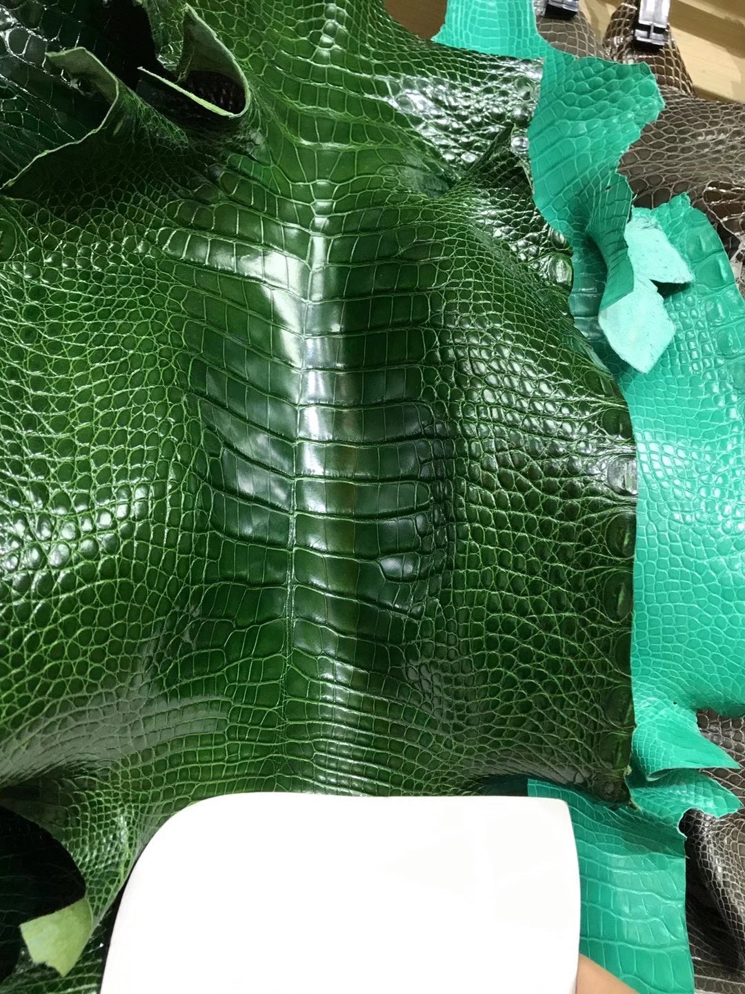 进口美洲鳄亮面 森林绿-拉尔森鳄鱼皮具定制 - 爱马仕包包官网 进口美洲鳄亮面 森林绿