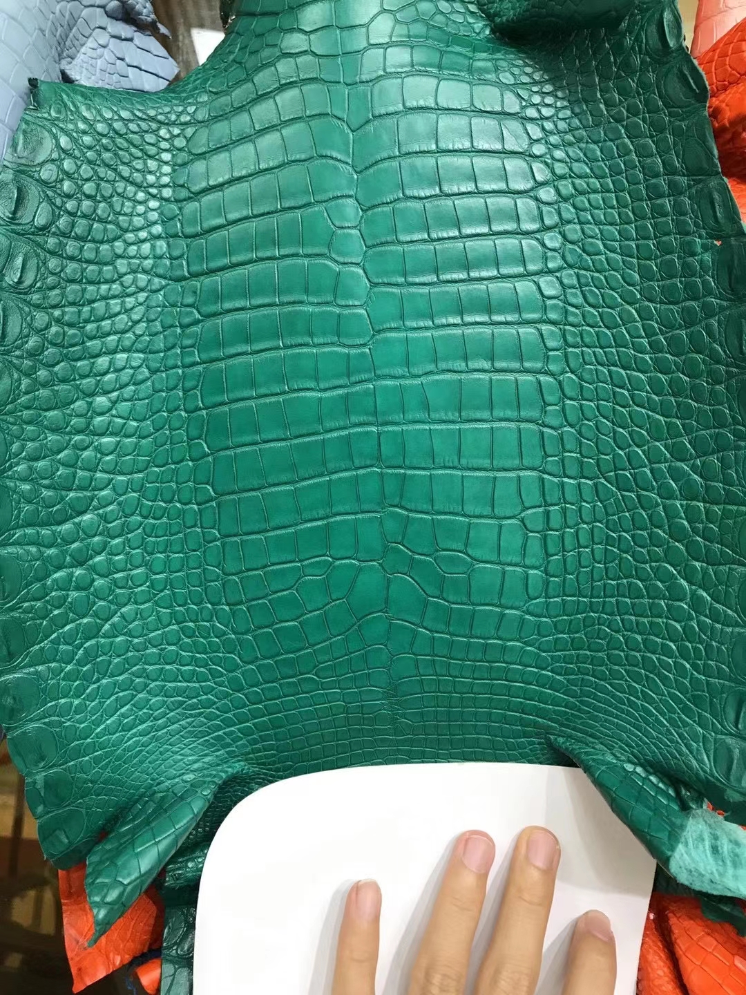 进口美洲鳄雾面 森林绿-拉尔森鳄鱼皮具定制 - 爱马仕包包官网 进口美洲鳄雾面 森林绿
