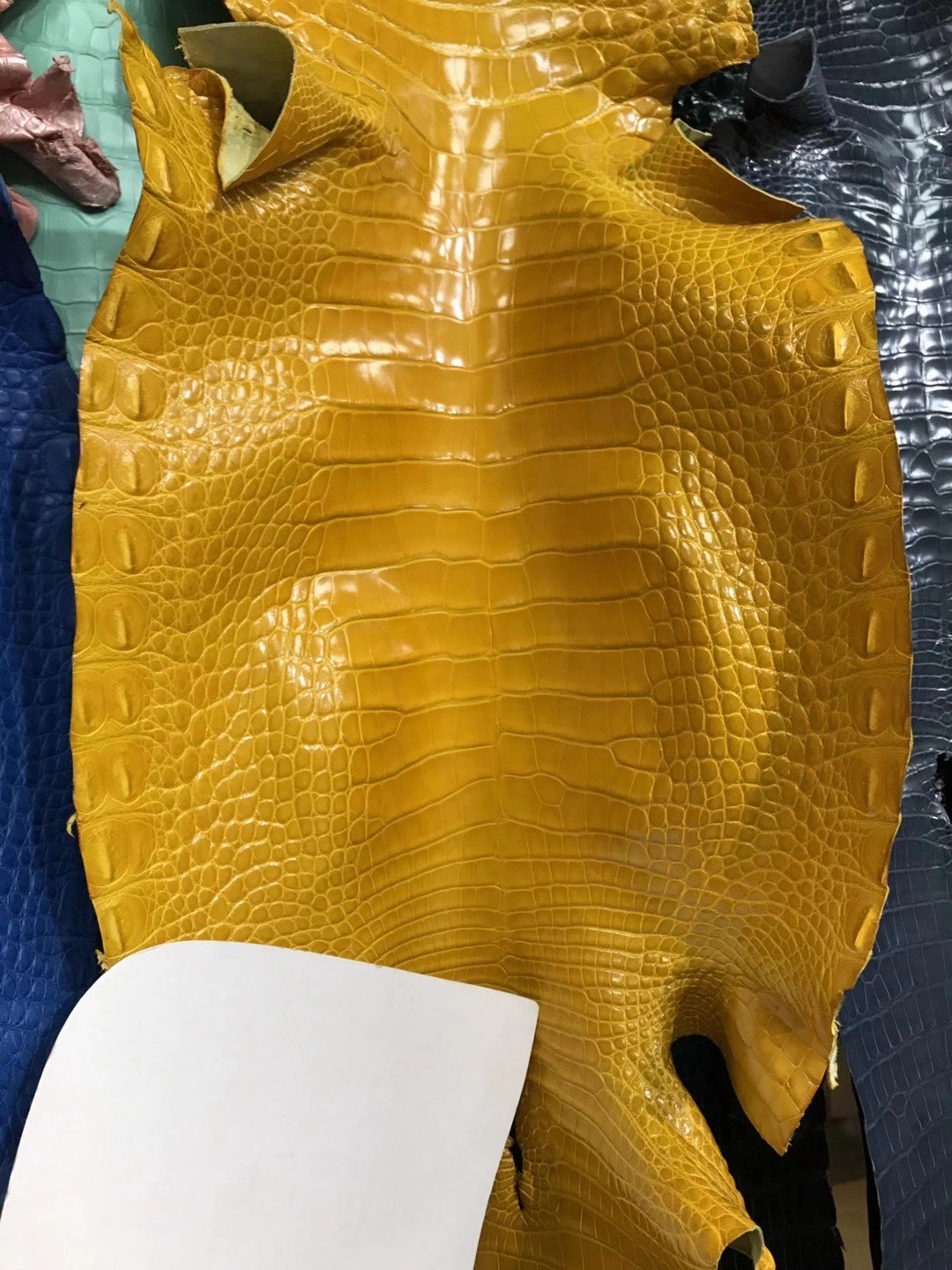 进口美洲鳄亮面 琥珀黄-拉尔森鳄鱼皮具定制 - 爱马仕包包官网 进口美洲鳄亮面 琥珀黄