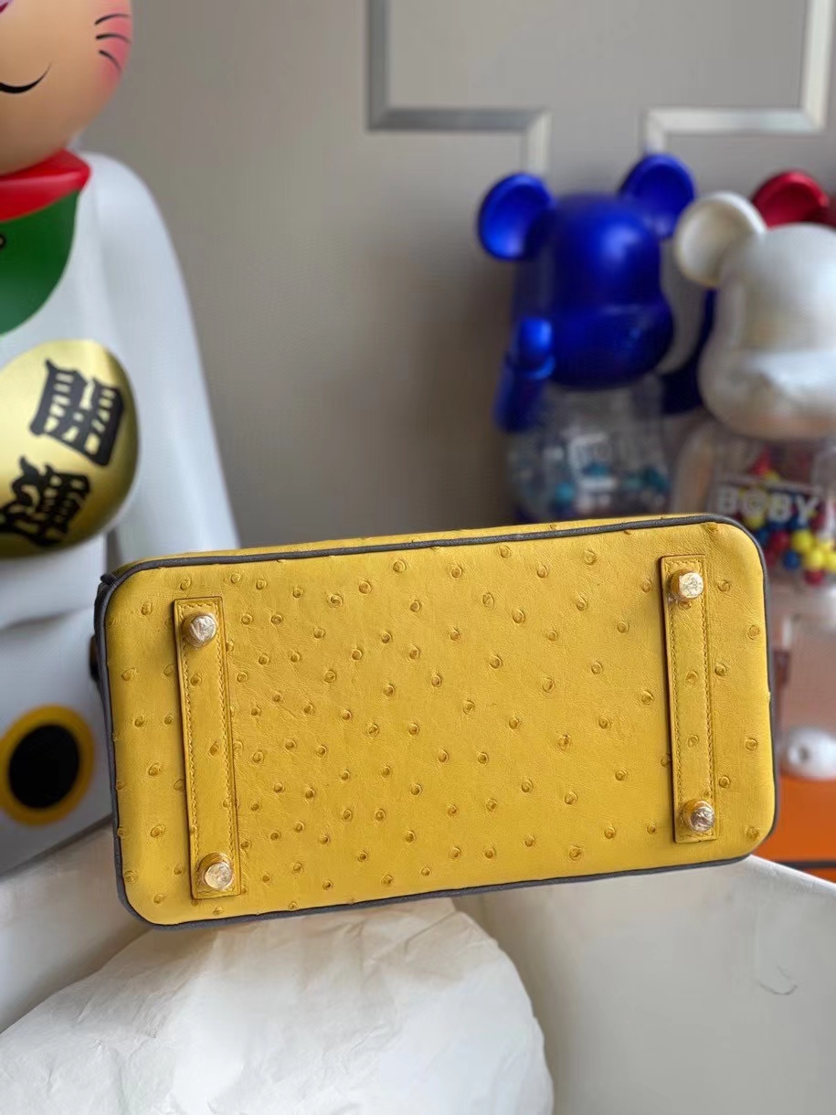 Hermès（爱马仕）Birkin 25cm Ostrich kk鸵鸟9Ｄ琥珀黄 拼 玛瑙灰 金扣 马蹄印 顶级手缝