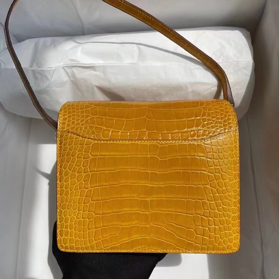 Hermès（爱马仕）Roulis 猪鼻子 Alligator shiny 亮面鳄鱼9D琥珀黄 Ambre 金扣 18cm 顶级手缝 定制