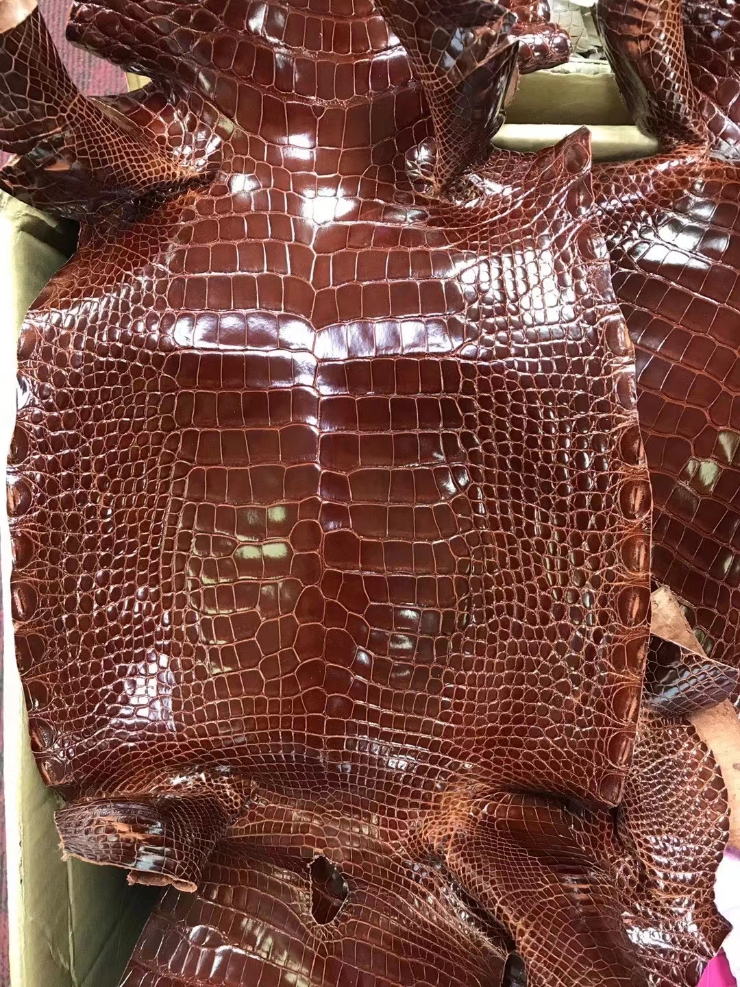 Hermès（爱马仕）新皮 鳄鱼皮 咖啡棕 定制
