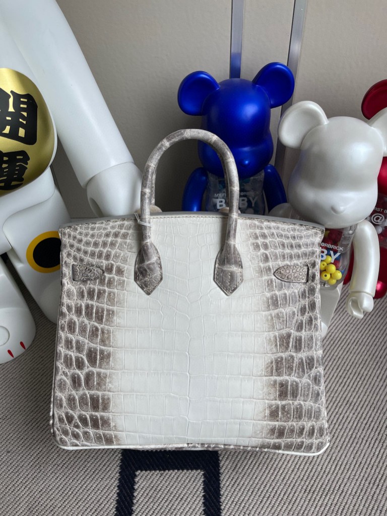 Hermès（爱马仕）Birkin 铂金包 Himalaya 喜马拉雅 银扣 25cm 顶级手缝 品相超赞 现货