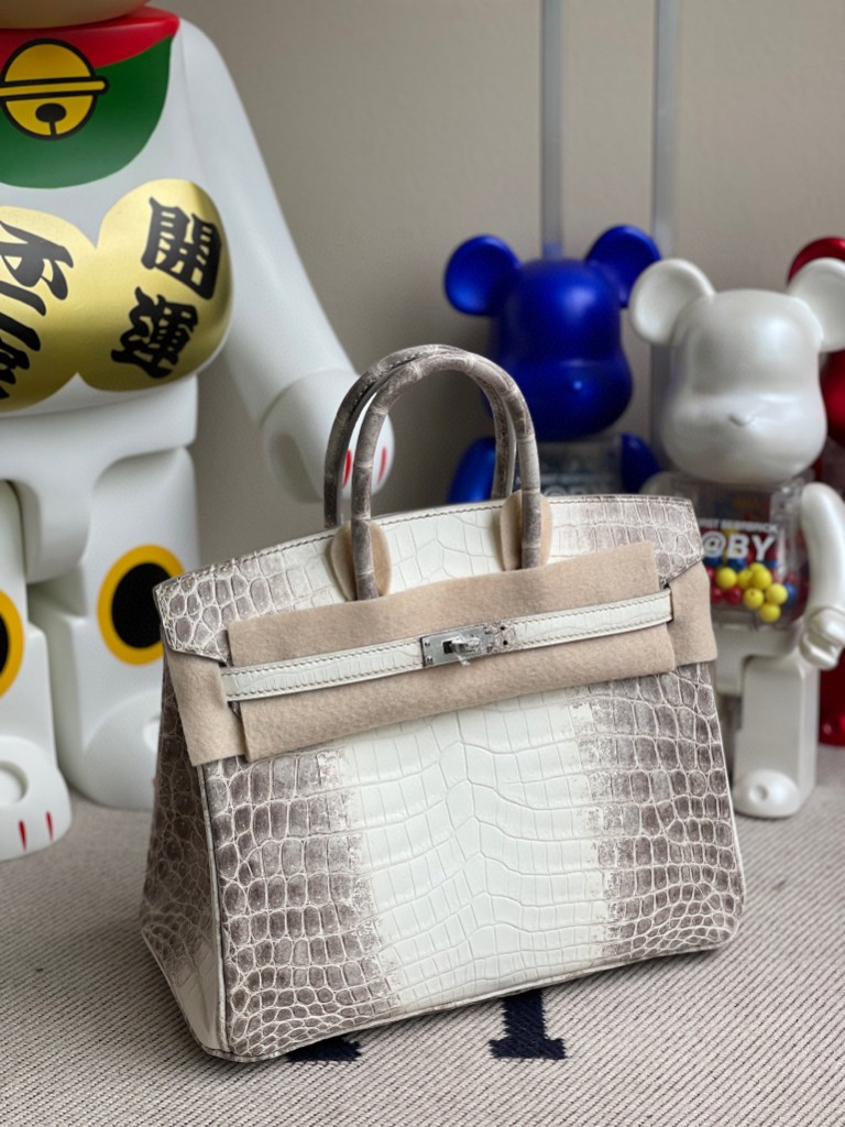Hermès（爱马仕）Birkin 铂金包 Himalaya 喜马拉雅 银扣 25cm 顶级手缝 品相超赞 现货