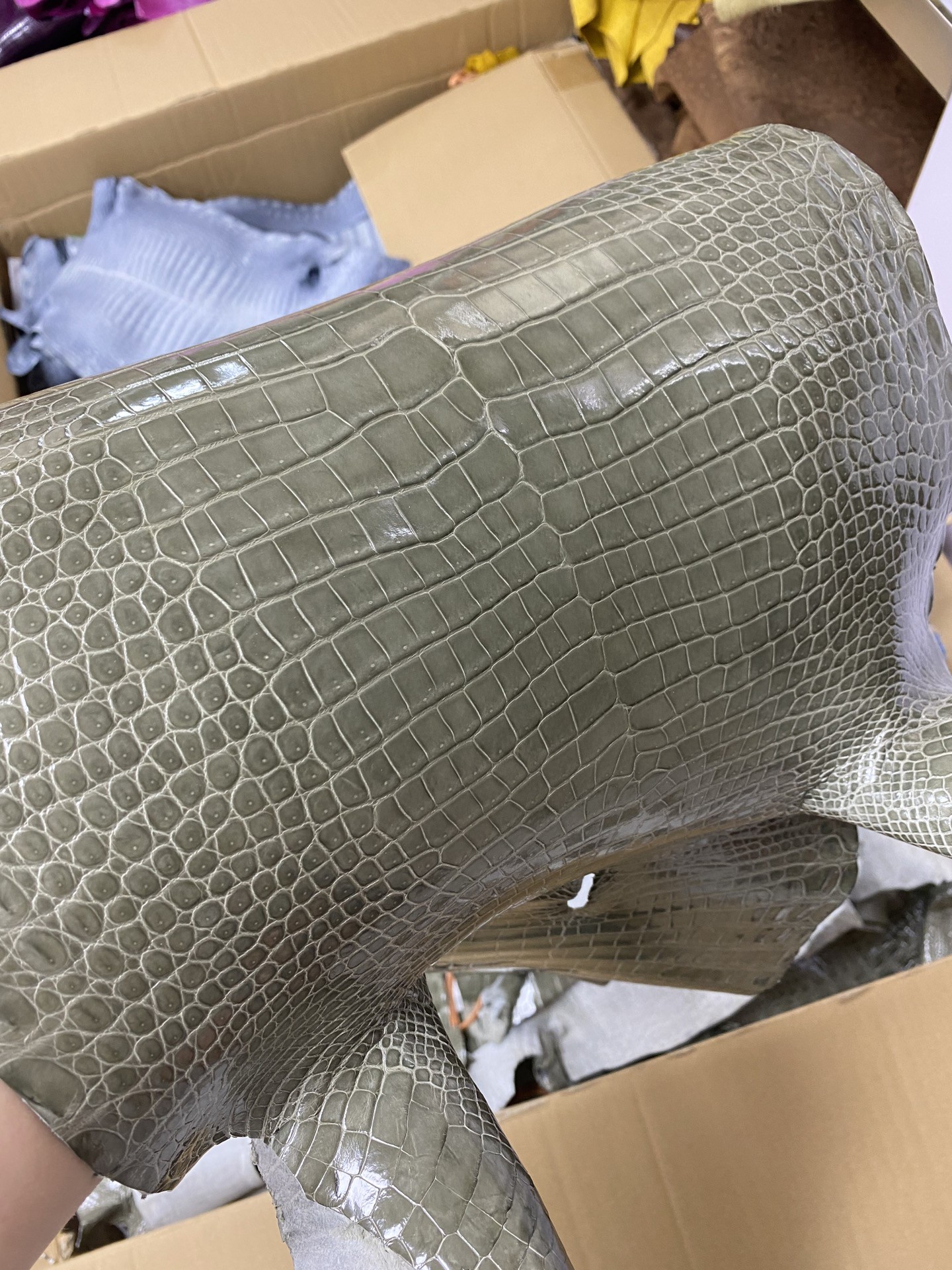 Hermès(爱马仕)新皮 Porosus shiny 亮面澳洲湾鳄 斑鸠灰-拉尔森鳄鱼皮具定制 - 爱马仕包包官网 Hermès(爱马仕)新皮 Porosus shiny 亮面澳洲湾鳄 斑鸠灰