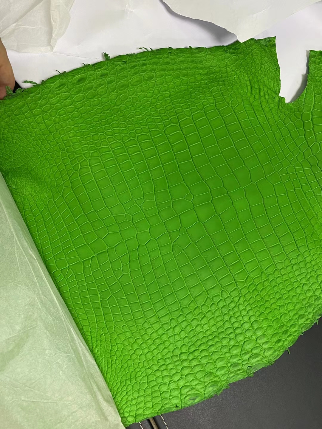 Hermès(爱马仕)新到皮 雾面倒v澳洲湾鳄 1k 竹子绿 matte porosus crocodile-拉尔森鳄鱼皮具定制 - 爱马仕包包官网 Hermès(爱马仕)新到皮 雾面倒v澳洲湾鳄 1k 竹子绿 matte porosus crocodile