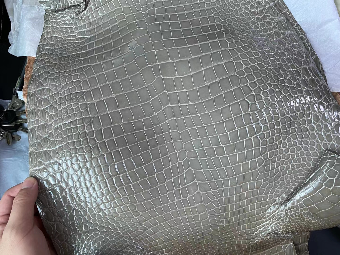 Hermès（爱马仕）新到皮 雾面倒v澳洲湾鳄 ck81 斑鸠灰 matte porosus crocodile