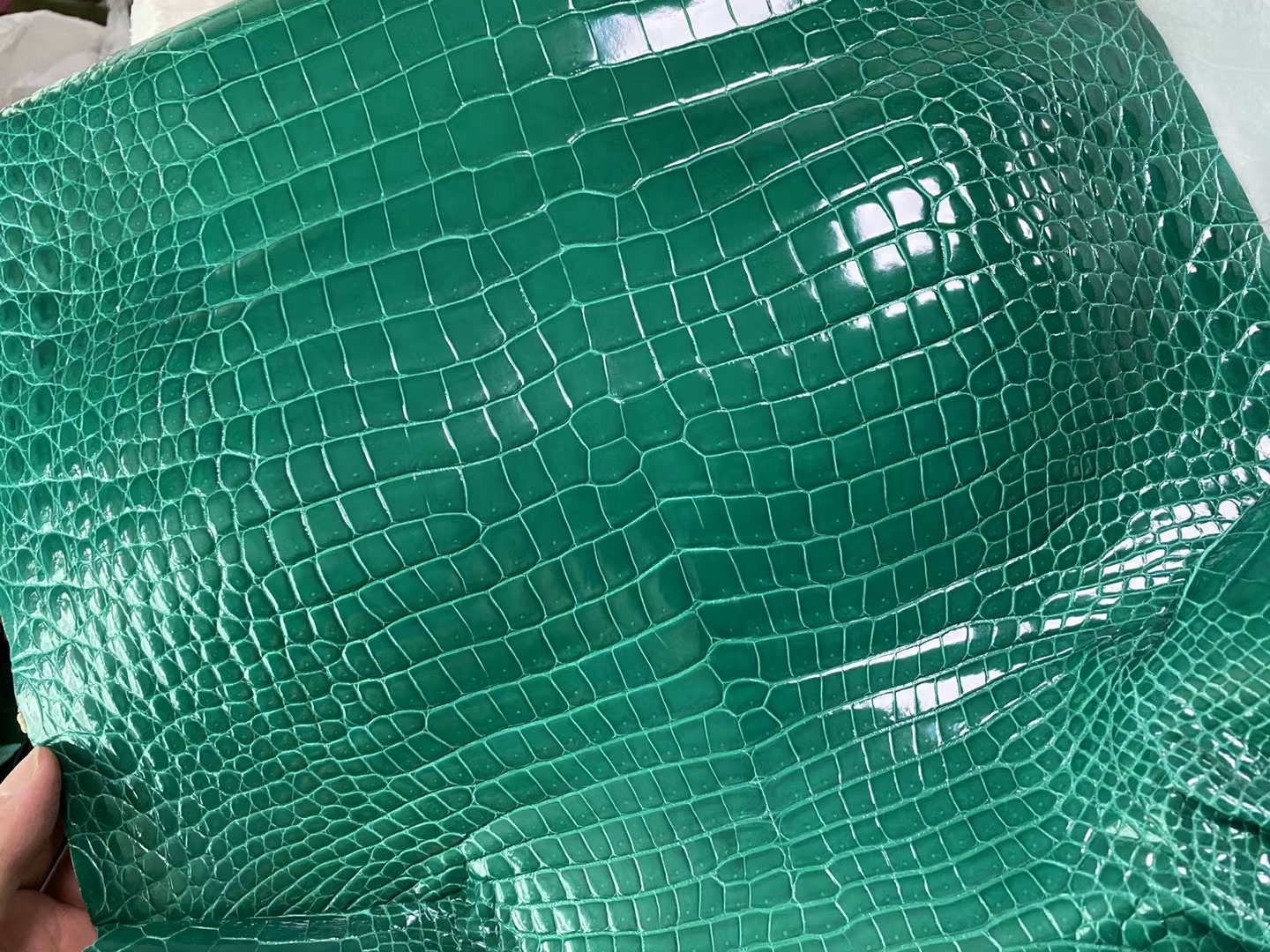 Hermès（爱马仕）新到皮 雾面倒v澳洲湾鳄 6Q 翡翠绿 matte porosus crocodile