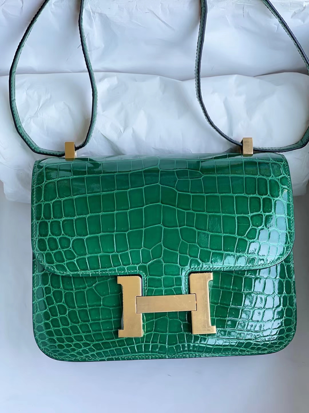 Hermès（爱马仕）Constance 康康 亮面尼罗鳄 shiny nilo crocodile 1L 仙人掌绿 金扣 24cm