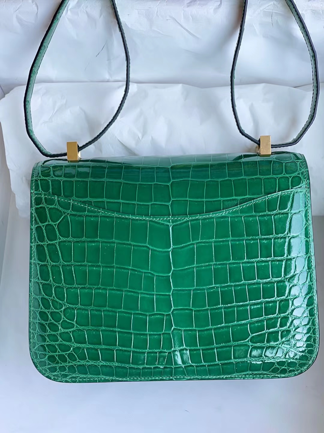 Hermès（爱马仕）Constance 康康 亮面尼罗鳄 shiny nilo crocodile 1L 仙人掌绿 金扣 24cm