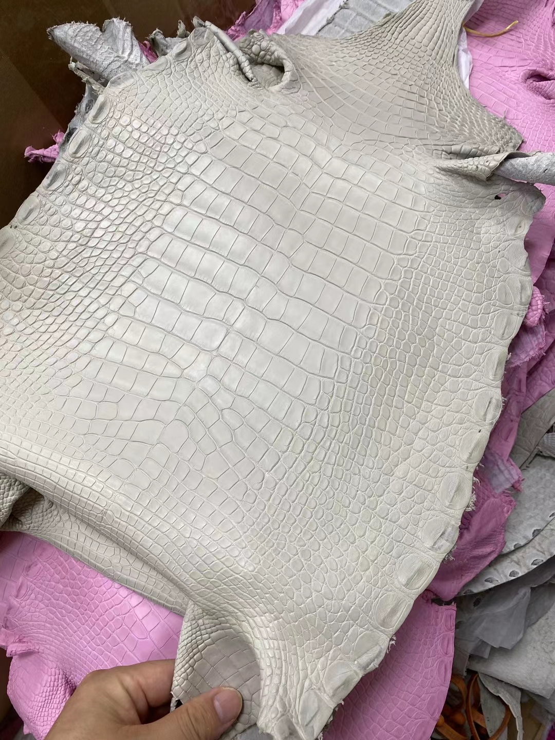 Hermès（爱马仕）新皮 雾面方块 美洲鳄 8L 奶油白 Matte Alligator crocodile 接受订制