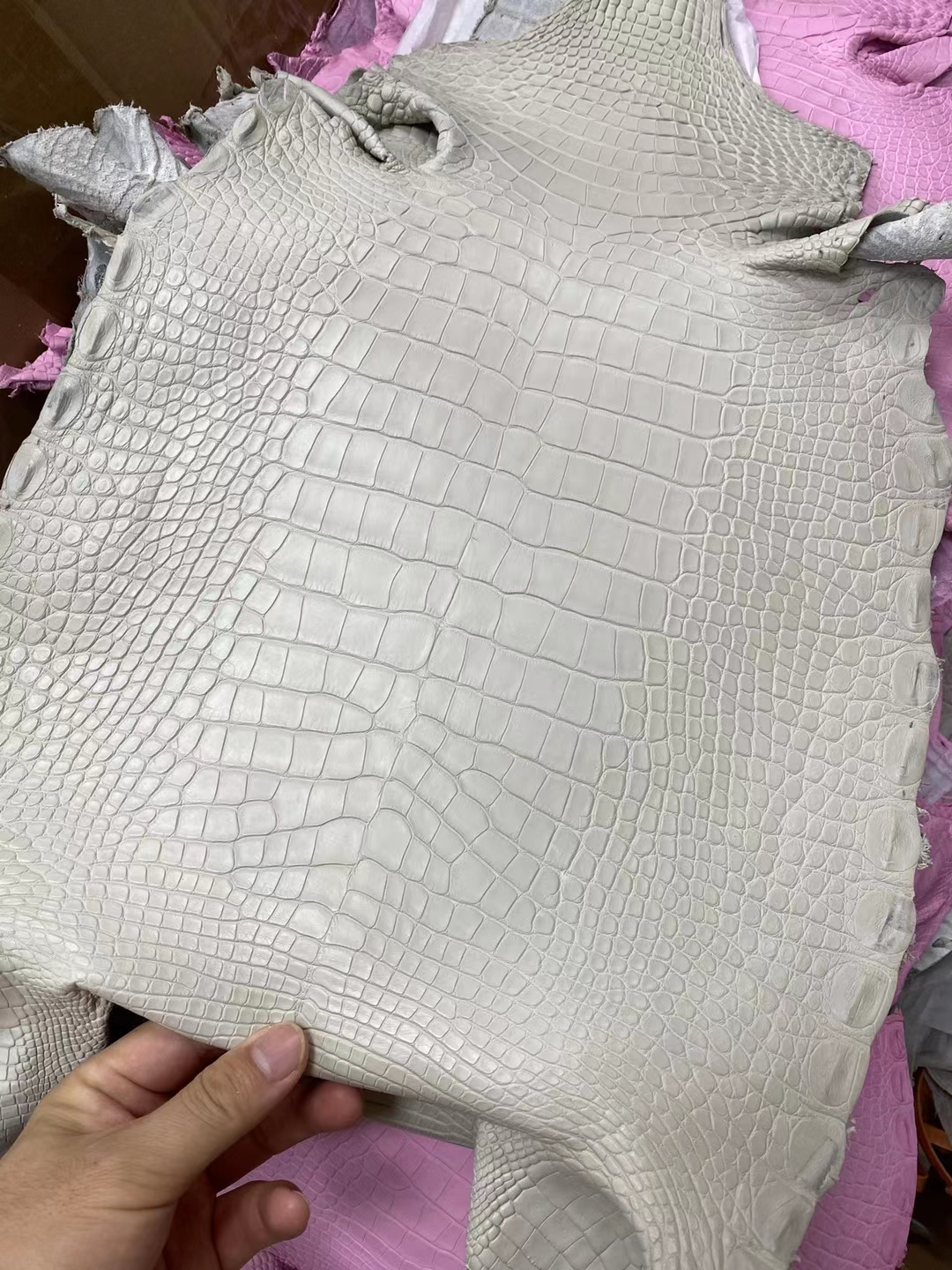 Hermès(爱马仕)新皮 雾面方块 美洲鳄 8L 奶油白 Matte Alligator crocodile 接受订制-拉尔森鳄鱼皮具定制 - 爱马仕包包官网 Hermès(爱马仕)新皮 雾面方块 美洲鳄 8L 奶油白 Matte Alligator crocodile 接受订制