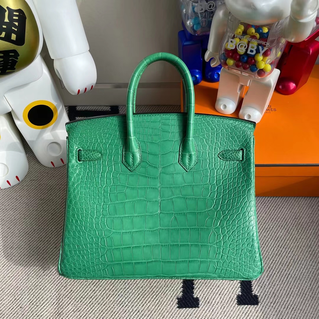 Hermès(爱马仕)Birkin 铂金包 雾面美洲鳄鱼 U4 丝绒绿 银扣 Matter Alligator Crocodile 25cm-拉尔森鳄鱼皮具定制 - 爱马仕包包官网 Hermès(爱马仕)Birkin 铂金包 雾面美洲鳄鱼 U4 丝绒绿 银扣 Matter Alligator Crocodile 25cm