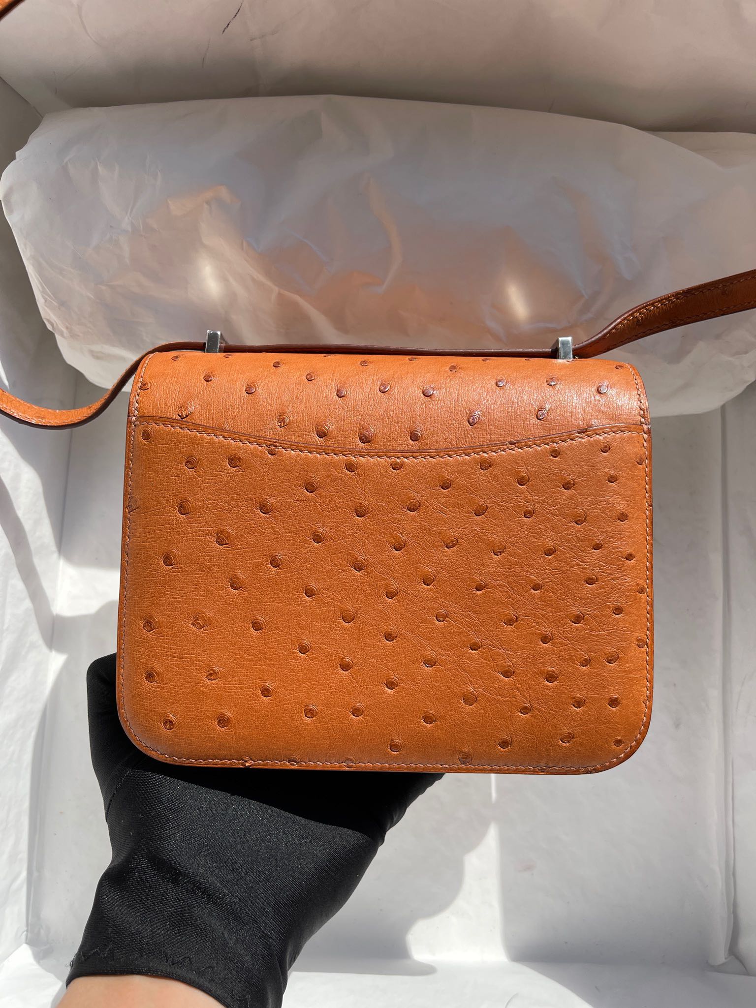 Hermès（爱马仕）Constance 康斯坦斯 Osrtich kk 鸵鸟 金棕色 gold 银扣 18cm 顶级手缝