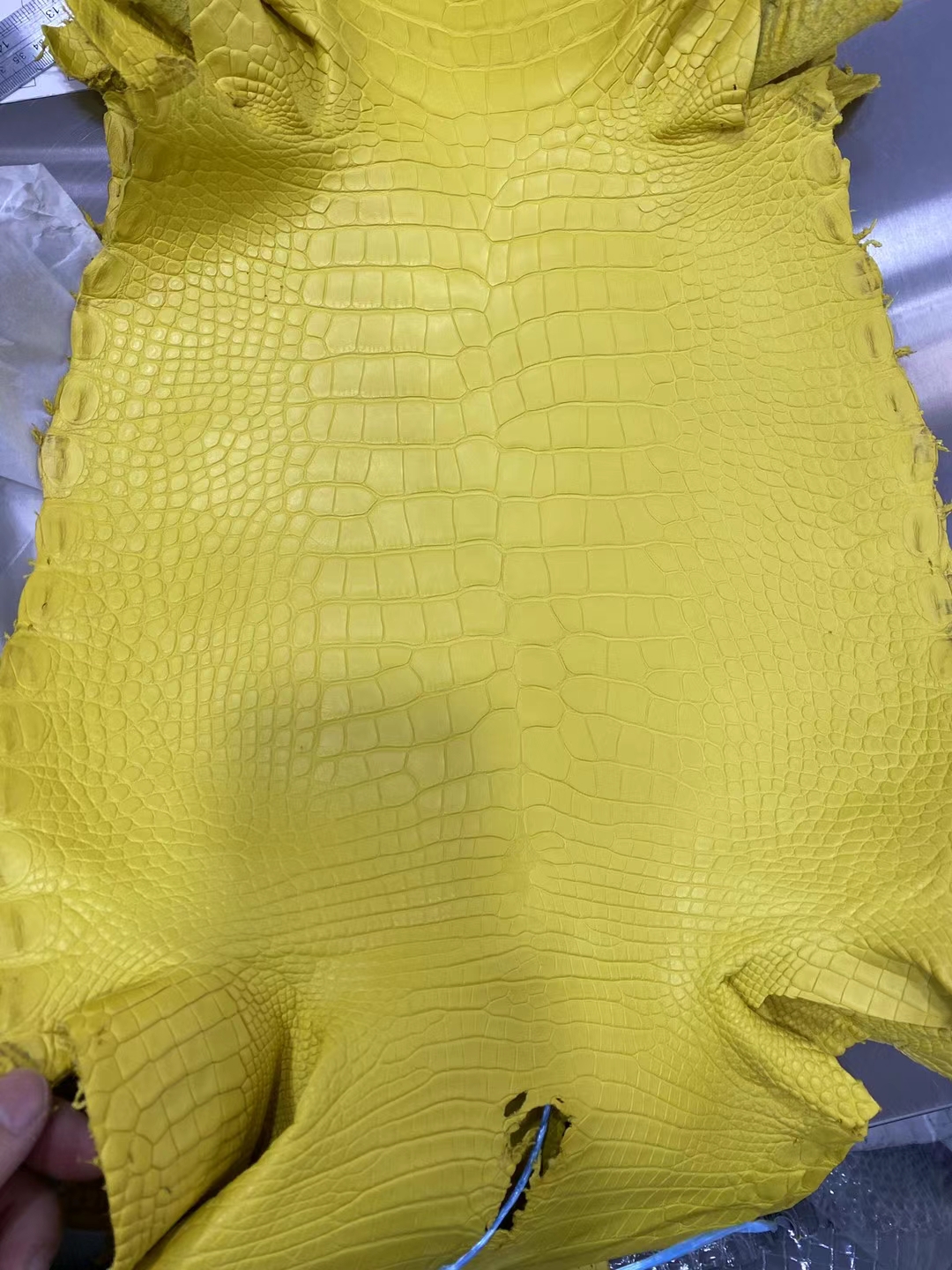 Hermès(爱马仕)新到皮 雾面美洲鳄鱼 M9 金盏花黄-拉尔森鳄鱼皮具定制 - 爱马仕包包官网 Hermès(爱马仕)新到皮 雾面美洲鳄鱼 M9 金盏花黄