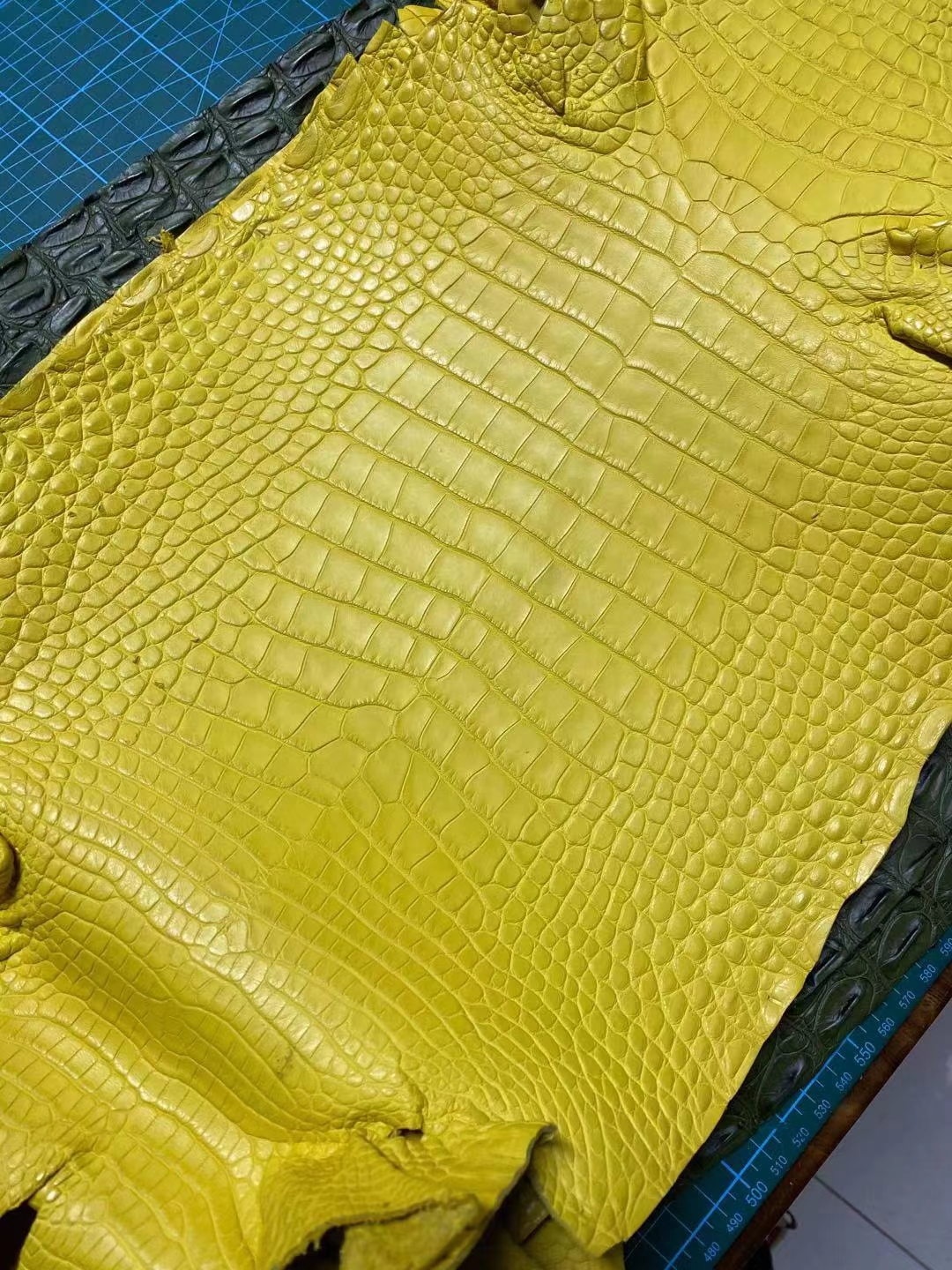 Hermès(爱马仕)新到皮 雾面美洲鳄鱼 M9 金盏花黄-拉尔森鳄鱼皮具定制 - 爱马仕包包官网 Hermès(爱马仕)新到皮 雾面美洲鳄鱼 M9 金盏花黄