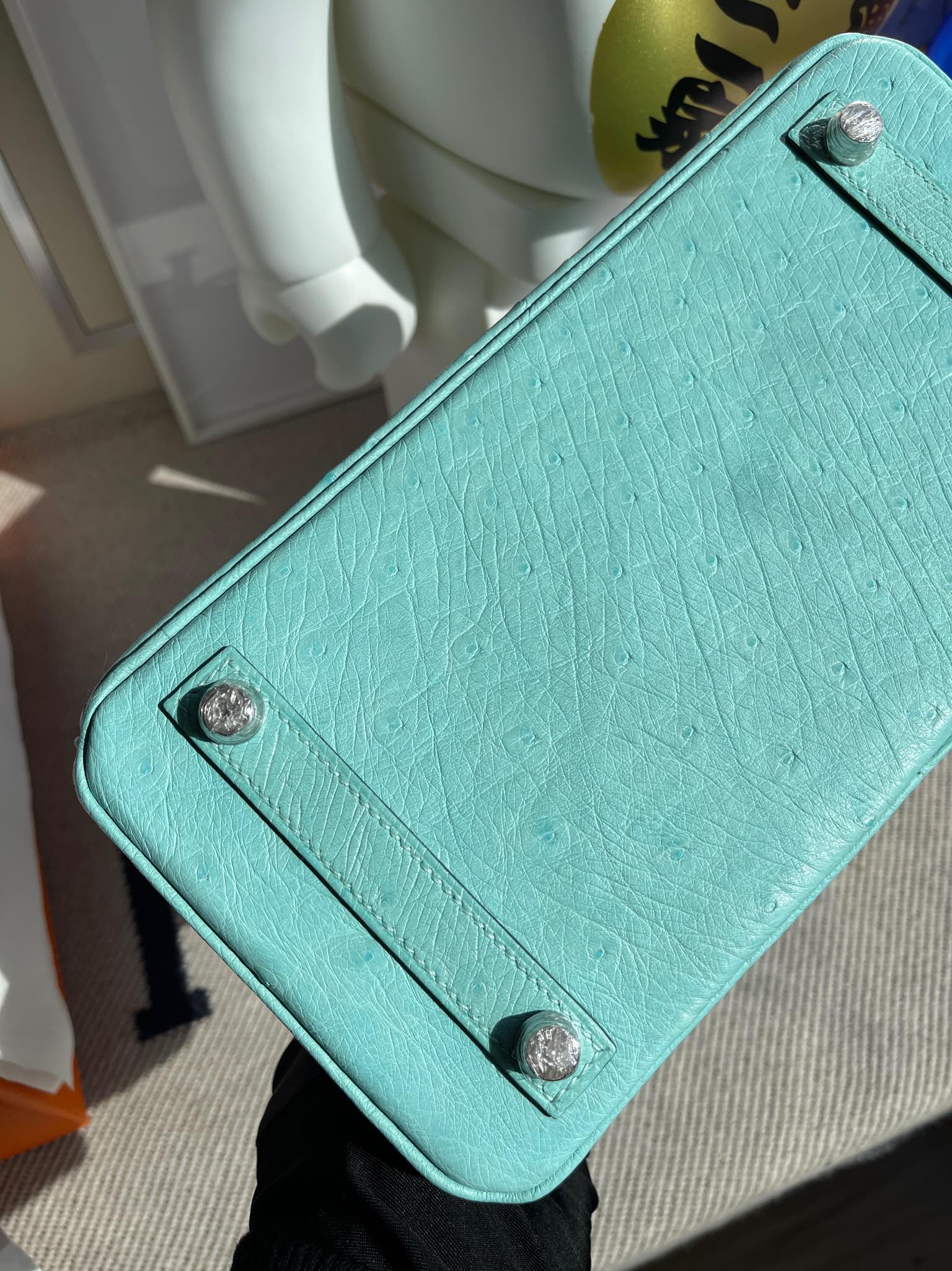 Hermès(爱马仕)Birkin 铂金包 Ostrich kk鸵鸟 3P 马卡龙蓝 银扣 25cm 顶级手缝-拉尔森鳄鱼皮具定制 - 爱马仕包包官网 Hermès(爱马仕)Birkin 铂金包 Ostrich kk鸵鸟 3P 马卡龙蓝 银扣 25cm 顶级手缝