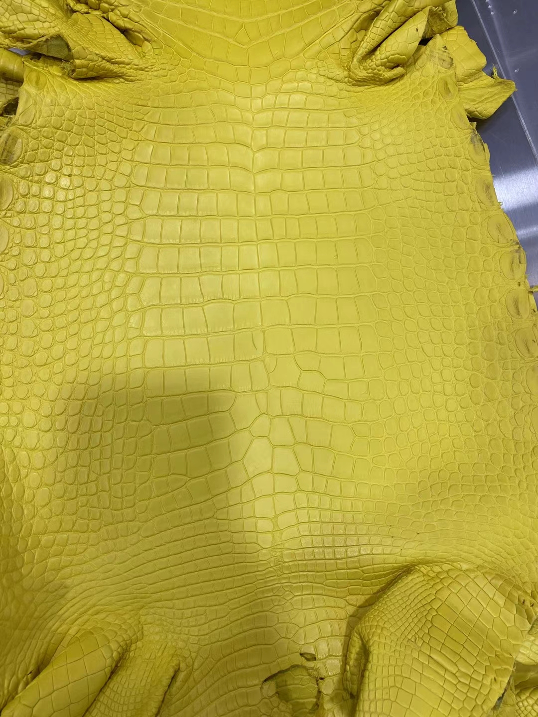 Hermès(爱马仕)新到皮 雾面美洲鳄鱼 M9 金盏花黄-拉尔森鳄鱼皮具定制 - 爱马仕包包官网 Hermès(爱马仕)新到皮 雾面美洲鳄鱼 M9 金盏花黄