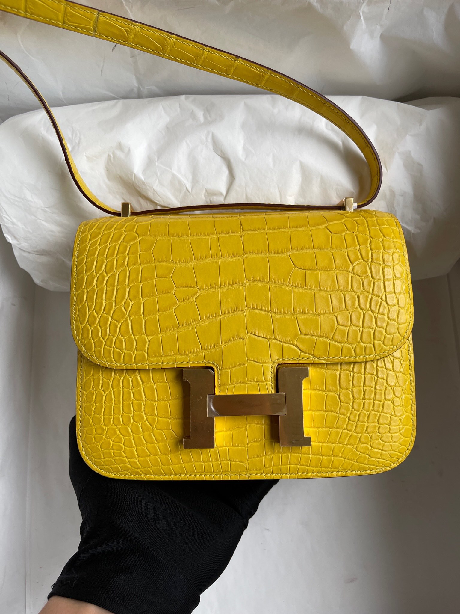 Hermès(爱马仕)Constance 康康 Alligator matt 雾面鳄鱼 M9 金盏花黄 金扣 18cm 顶级手缝-拉尔森鳄鱼皮具定制 - 爱马仕包包官网 Hermès(爱马仕)Constance 康康 Alligator matt 雾面鳄鱼 M9 金盏花黄 金扣 18cm 顶级手缝