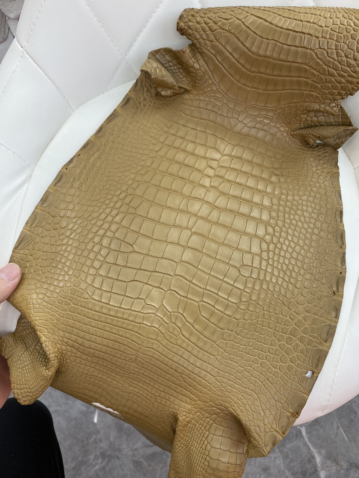 Hermès(爱马仕)新到鳄鱼 Alligator matt 雾面鳄鱼 牛皮纸色-拉尔森鳄鱼皮具定制 - 爱马仕包包官网 Hermès(爱马仕)新到鳄鱼 Alligator matt 雾面鳄鱼 牛皮纸色
