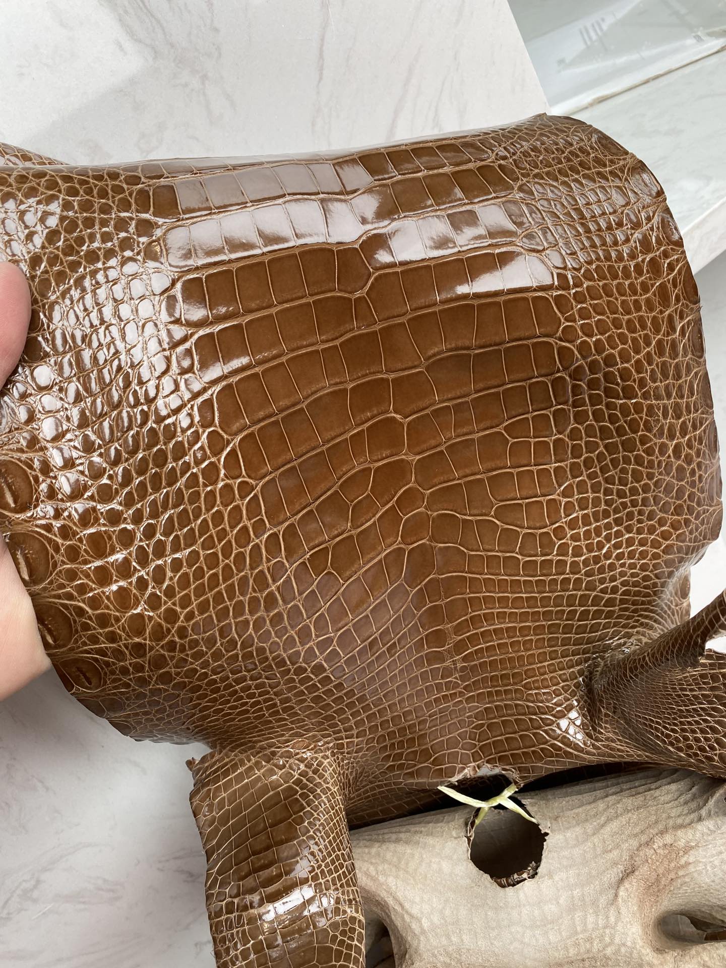 Hermès(爱马仕)新到鳄鱼 烟草色 可定制-拉尔森鳄鱼皮具定制 - 爱马仕包包官网 Hermès(爱马仕)新到鳄鱼 烟草色 可定制