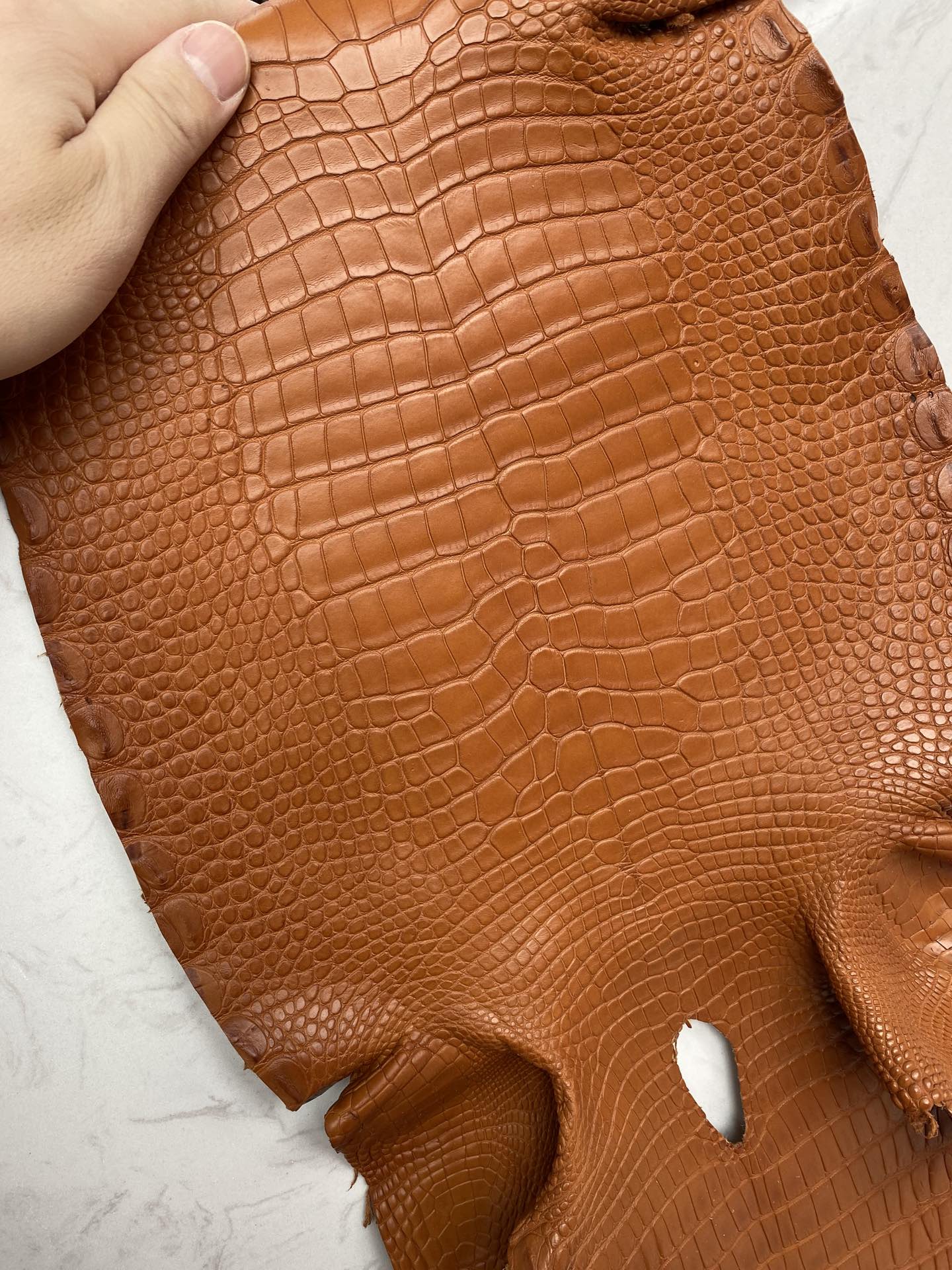 Hermès（爱马仕）新到鳄鱼 雾面鳄 红土色 可定制