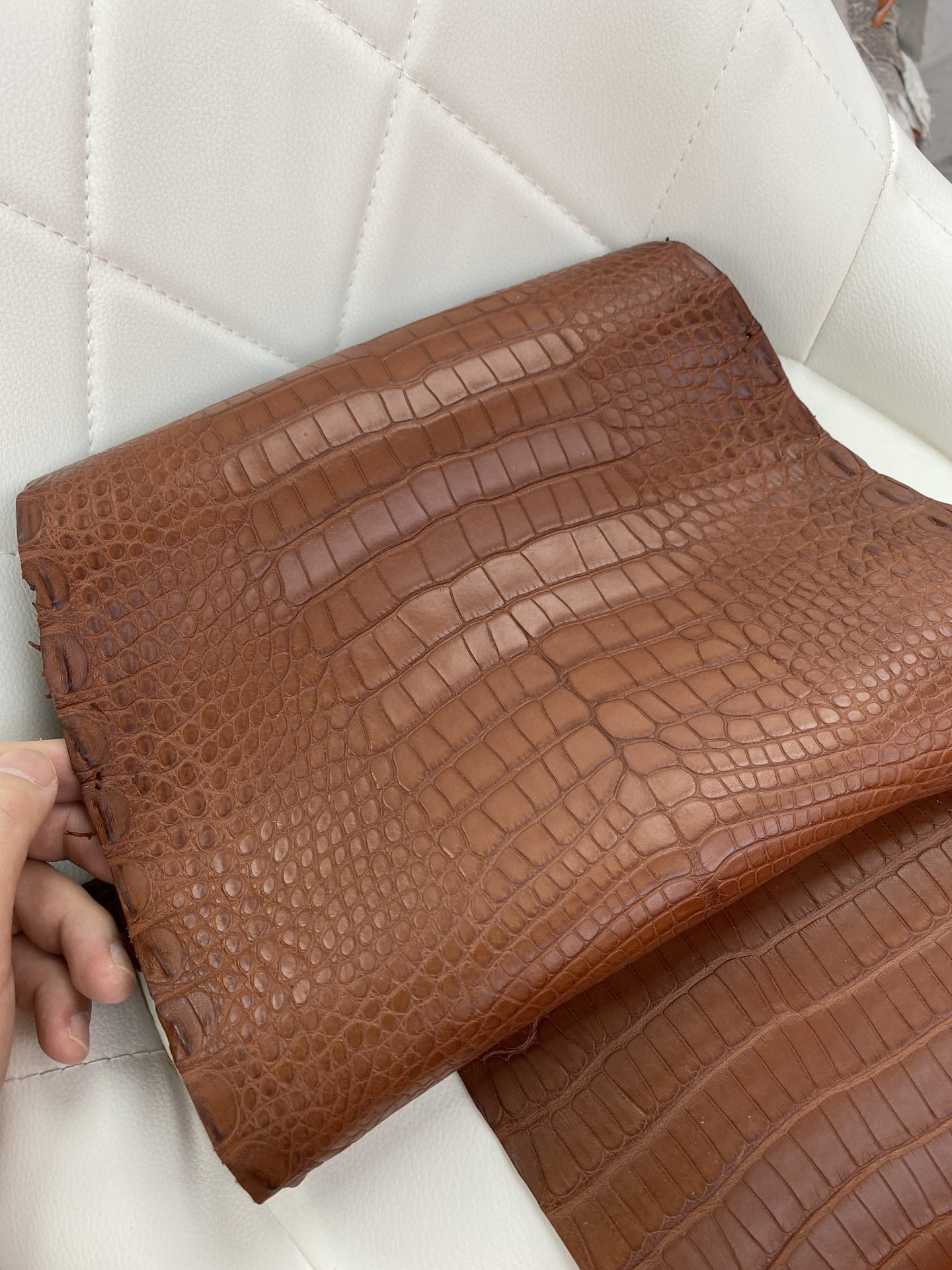 Hermès(爱马仕)新到鳄鱼 Alligator matt 雾面鳄鱼 金棕色-拉尔森鳄鱼皮具定制 - 爱马仕包包官网 Hermès(爱马仕)新到鳄鱼 Alligator matt 雾面鳄鱼 金棕色