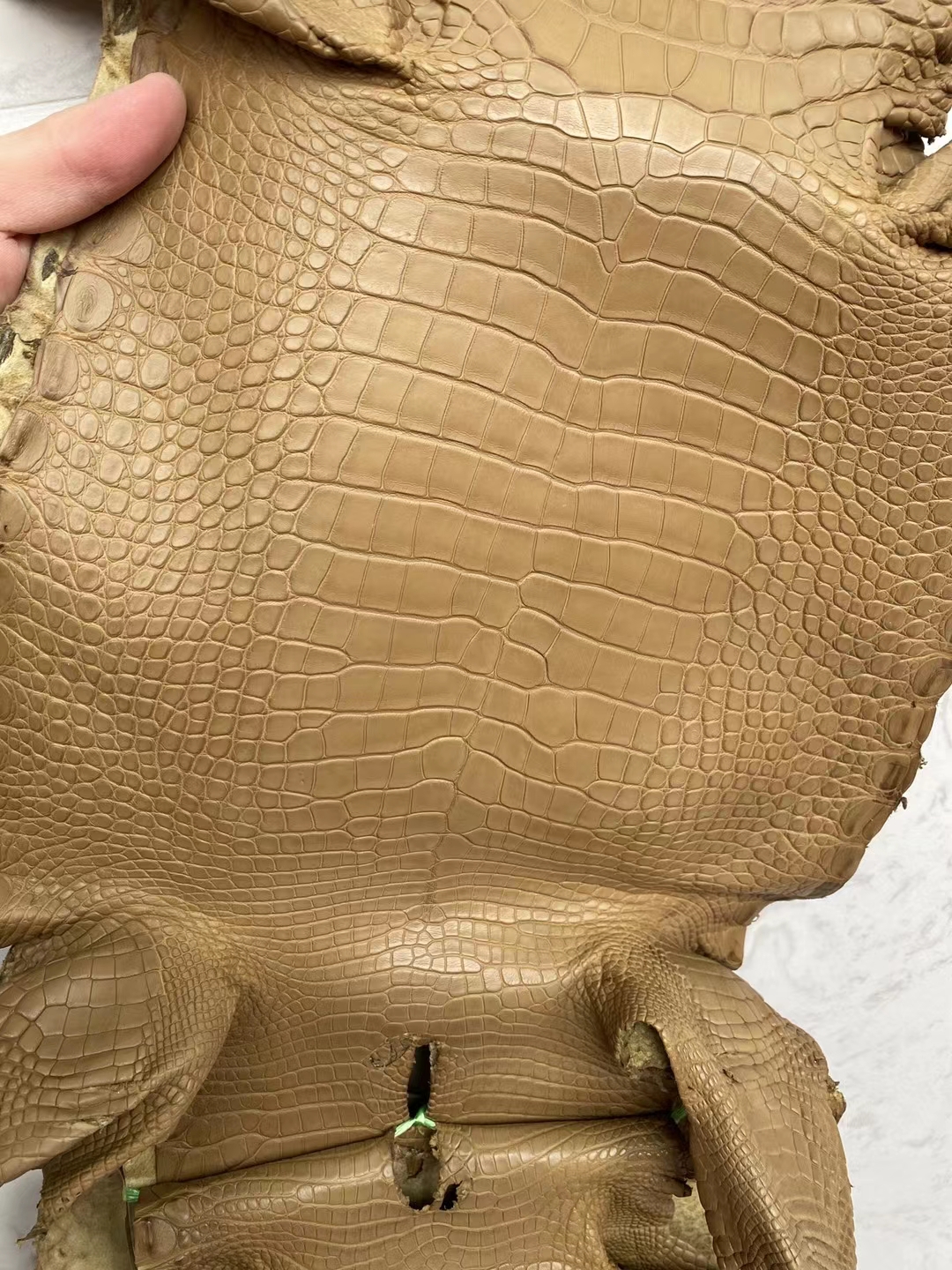 Hermès（爱马仕）新到皮 雾面美洲鳄鱼 2H 牛皮纸色 Matte Alligator Crocodile