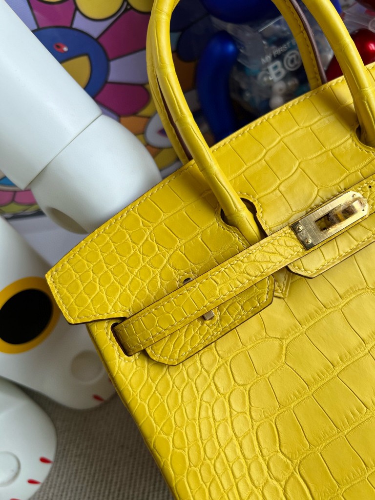 Hermès(爱马仕)Birkin 铂金包 Alligator matt 雾面鳄鱼 M9 金盏花黄 金扣 25cm 顶级手缝-拉尔森鳄鱼皮具定制 - 爱马仕包包官网 Hermès(爱马仕)Birkin 铂金包 Alligator matt 雾面鳄鱼 M9 金盏花黄 金扣 25cm 顶级手缝