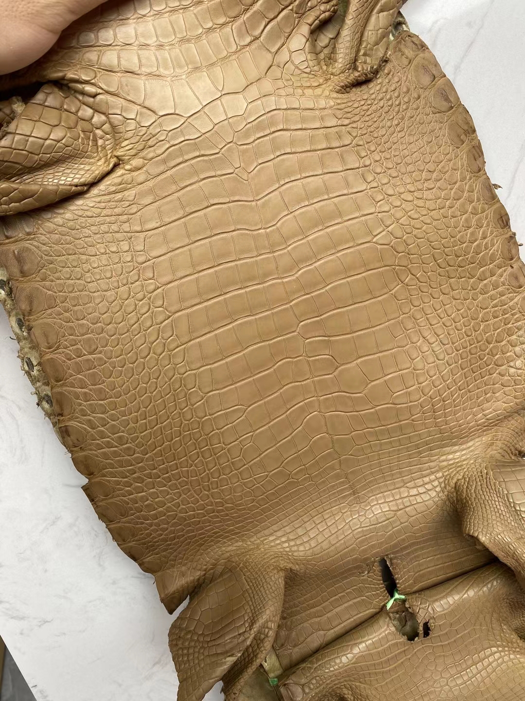Hermès（爱马仕）新到皮 雾面美洲鳄鱼 2H 牛皮纸色 Matte Alligator Crocodile