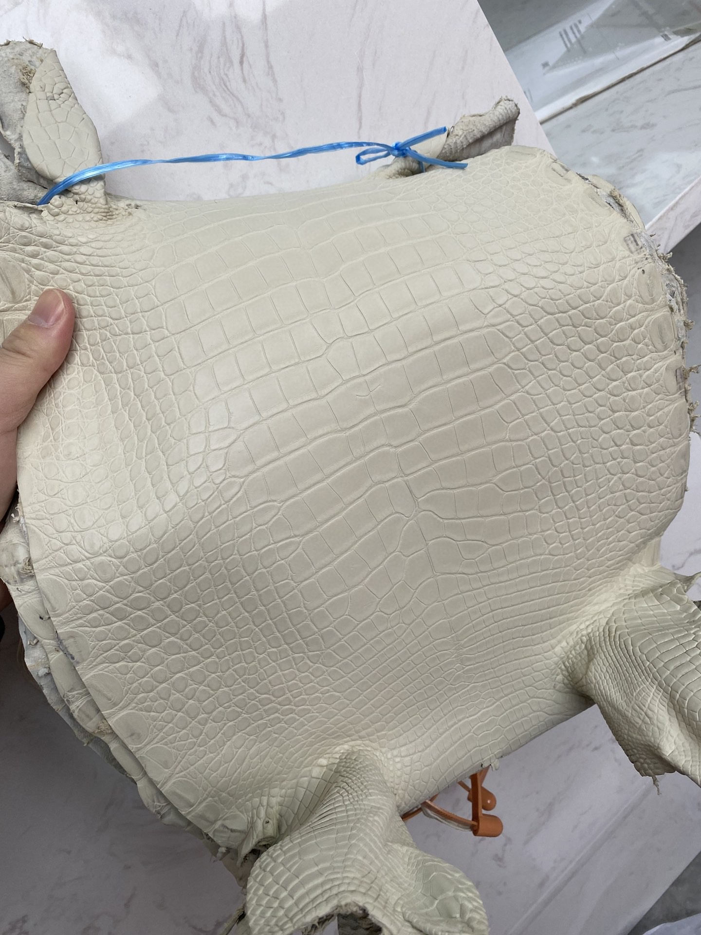 Hermès(爱马仕)新到鳄鱼 雾面鳄 奶昔白 可定制-拉尔森鳄鱼皮具定制 - 爱马仕包包官网 Hermès(爱马仕)新到鳄鱼 雾面鳄 奶昔白 可定制