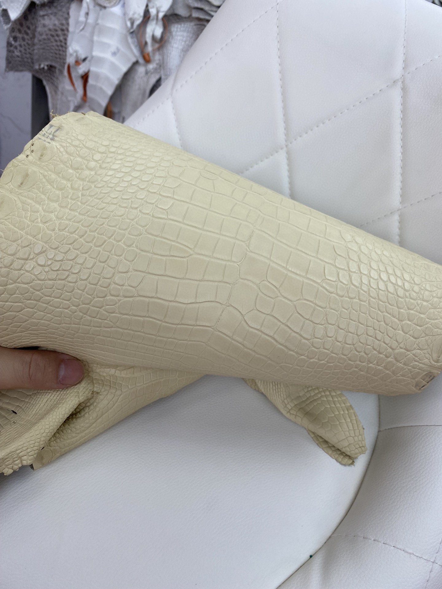 Hermès(爱马仕)新到鳄鱼 Alligator matt 雾面鳄鱼 Y1 香草色-拉尔森鳄鱼皮具定制 - 爱马仕包包官网 Hermès(爱马仕)新到鳄鱼 Alligator matt 雾面鳄鱼 Y1 香草色