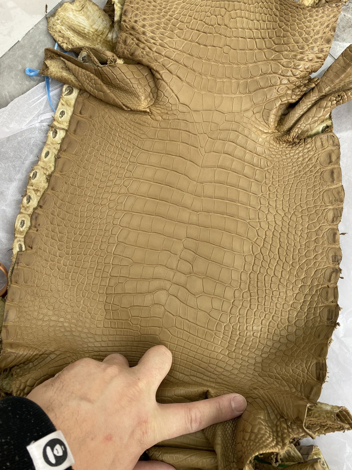 Hermès(爱马仕)新到鳄鱼 雾面鳄 饼干色 可定制-拉尔森鳄鱼皮具定制 - 爱马仕包包官网 Hermès(爱马仕)新到鳄鱼 雾面鳄 饼干色 可定制