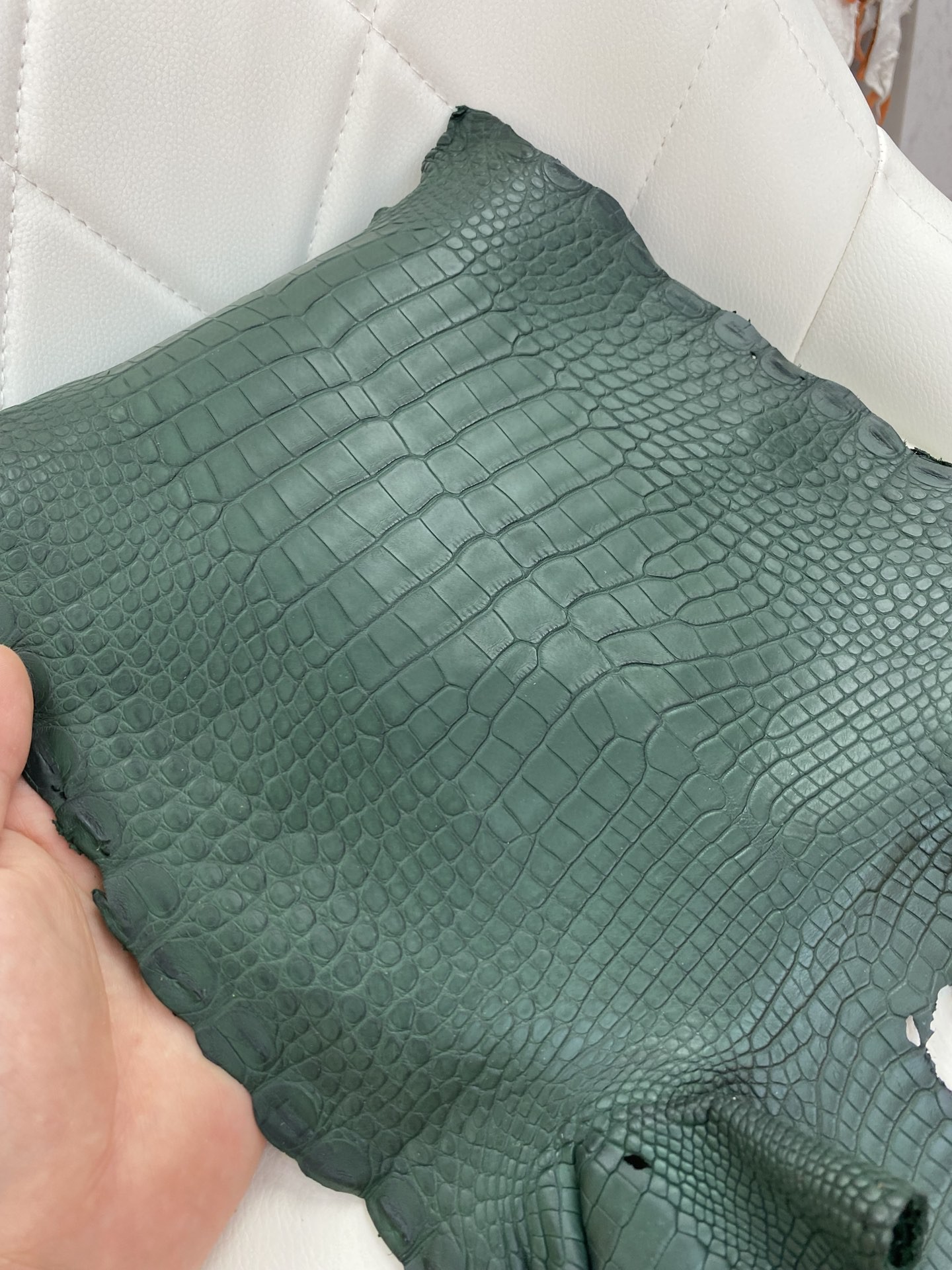 Hermès(爱马仕)新到鳄鱼 Alligator matt 雾面鳄鱼 6o 柏树绿-拉尔森鳄鱼皮具定制 - 爱马仕包包官网 Hermès(爱马仕)新到鳄鱼 Alligator matt 雾面鳄鱼 6o 柏树绿