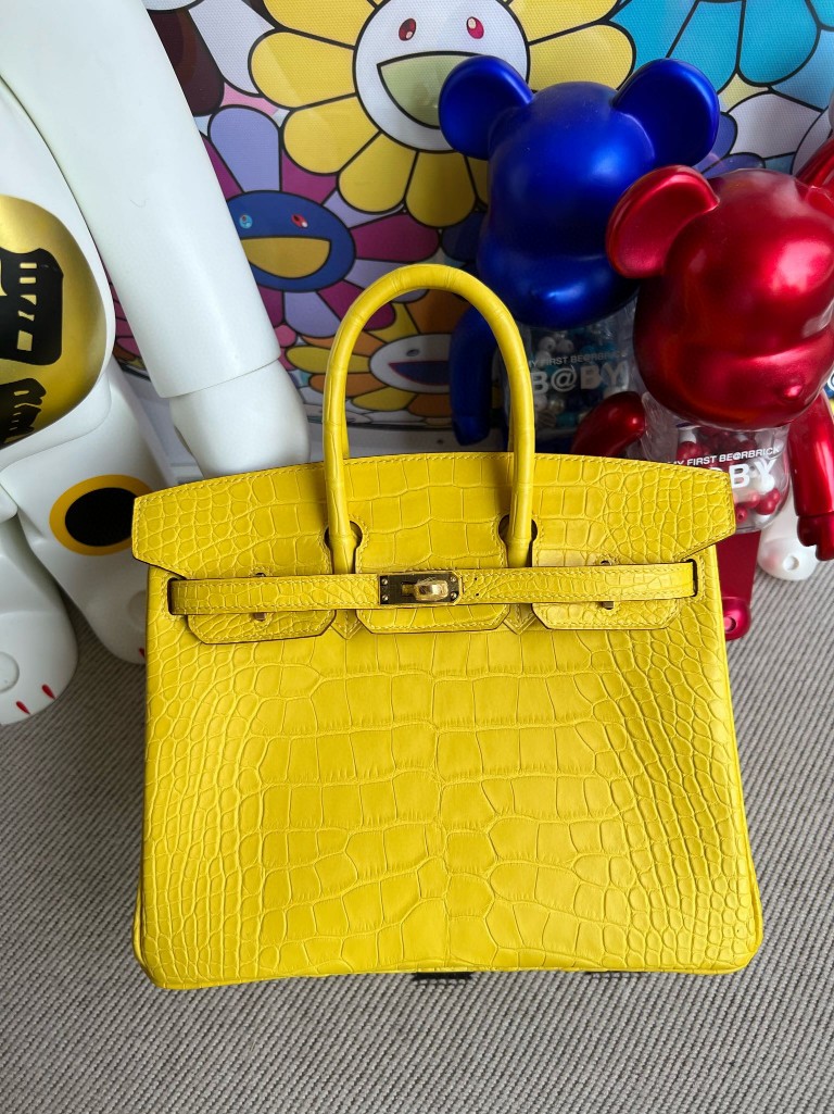 Hermès(爱马仕)Birkin 铂金包 Alligator matt 雾面鳄鱼 M9 金盏花黄 金扣 25cm 顶级手缝-拉尔森鳄鱼皮具定制 - 爱马仕包包官网 Hermès(爱马仕)Birkin 铂金包 Alligator matt 雾面鳄鱼 M9 金盏花黄 金扣 25cm 顶级手缝