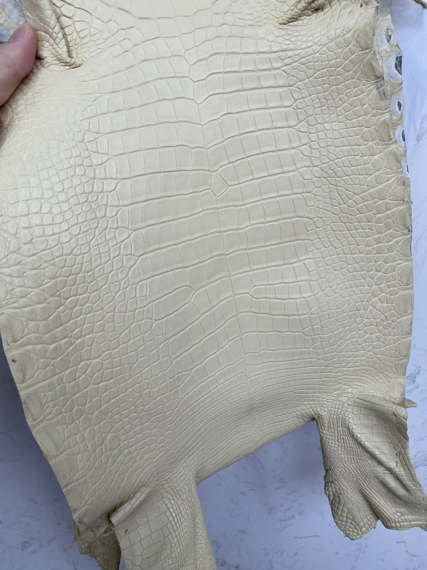 Hermès(爱马仕)新到鳄鱼 雾面鳄 香草色 可定制-拉尔森鳄鱼皮具定制 - 爱马仕包包官网 Hermès(爱马仕)新到鳄鱼 雾面鳄 香草色 可定制