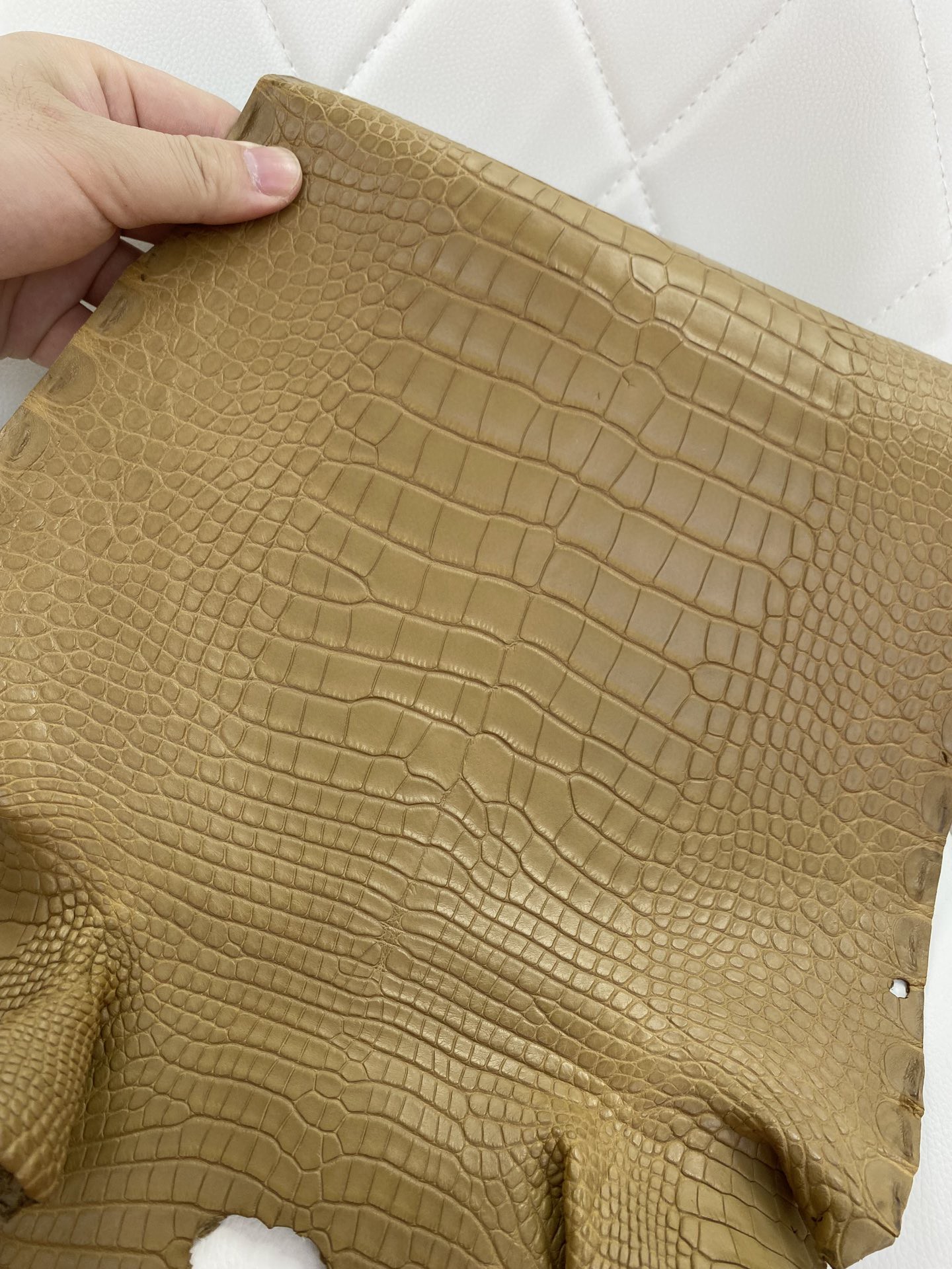 Hermès(爱马仕)新到鳄鱼 Alligator matt 雾面鳄鱼 牛皮纸色-拉尔森鳄鱼皮具定制 - 爱马仕包包官网 Hermès(爱马仕)新到鳄鱼 Alligator matt 雾面鳄鱼 牛皮纸色