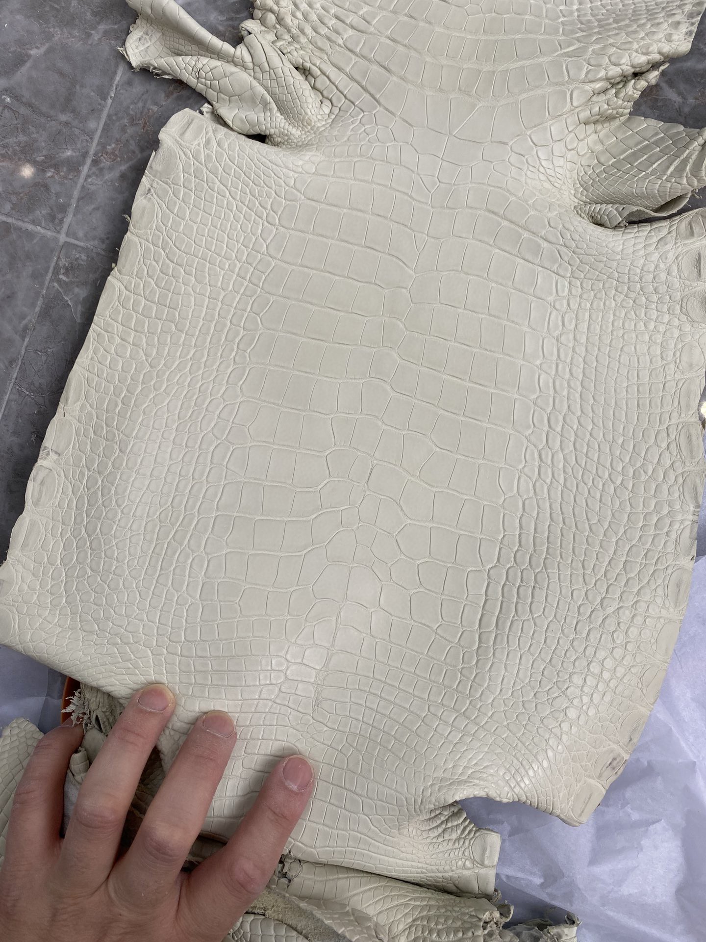 Hermès(爱马仕)新到鳄鱼 雾面鳄 奶昔白 可定制-拉尔森鳄鱼皮具定制 - 爱马仕包包官网 Hermès(爱马仕)新到鳄鱼 雾面鳄 奶昔白 可定制