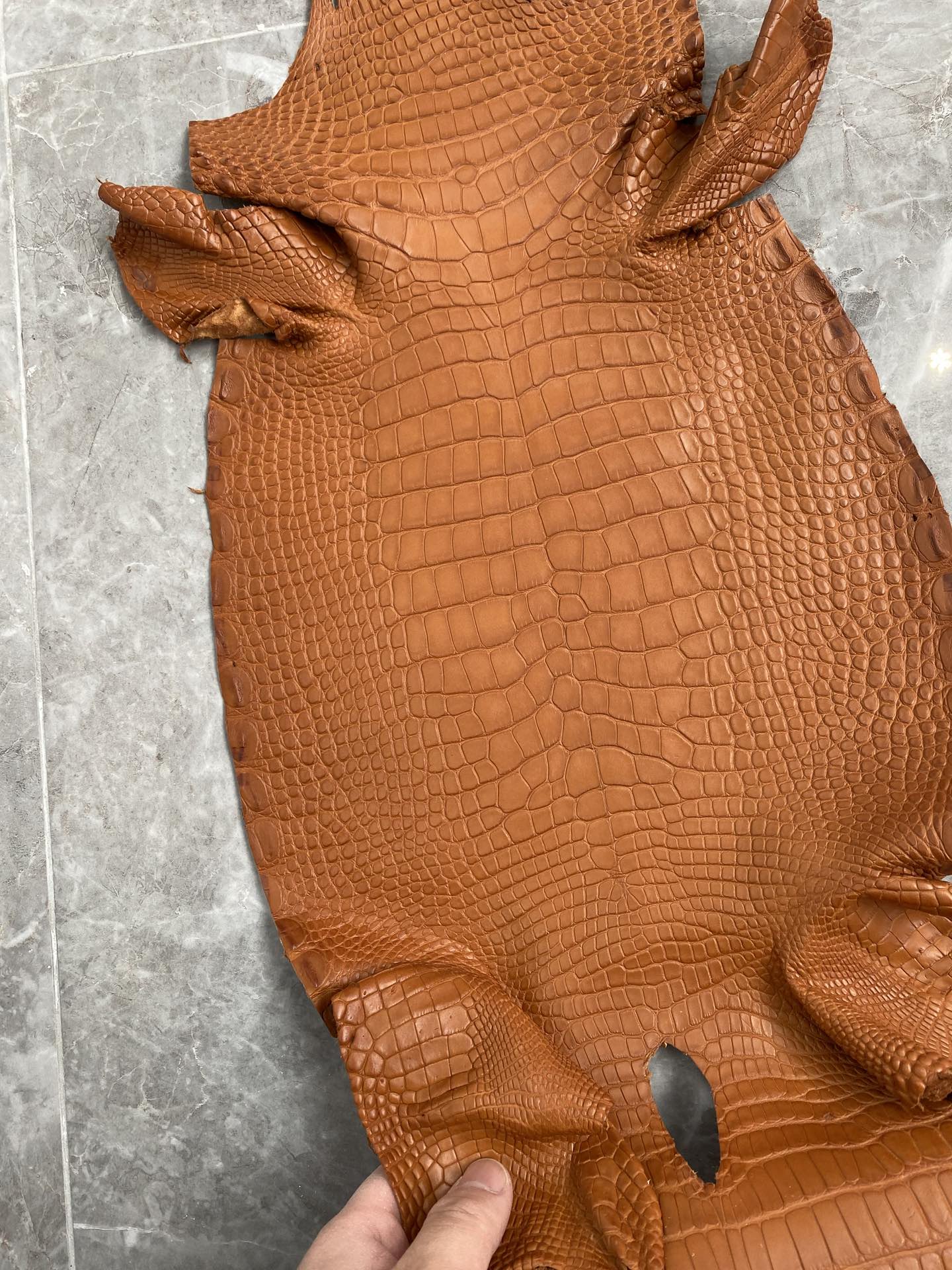 Hermès（爱马仕）新到鳄鱼 雾面鳄 红土色 可定制